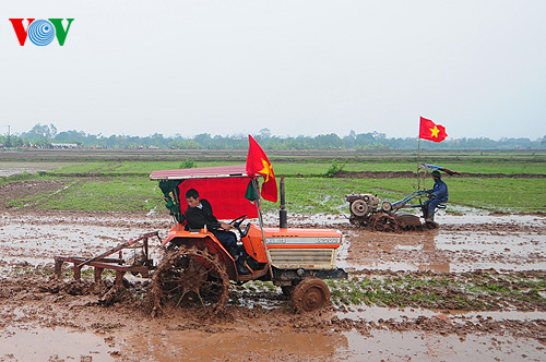 ベトナム農業発展